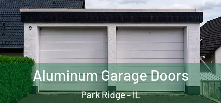  Aluminum Garage Doors Park Ridge - IL