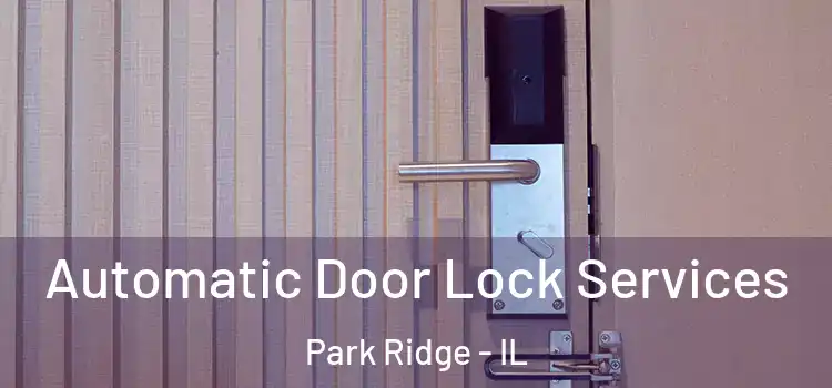 Automatic Door Lock Services Park Ridge - IL