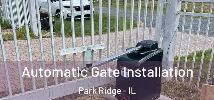 Automatic Gate Installation Park Ridge - IL