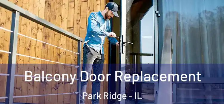  Balcony Door Replacement Park Ridge - IL