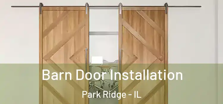 Barn Door Installation Park Ridge - IL