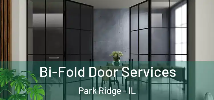 Bi-Fold Door Services Park Ridge - IL