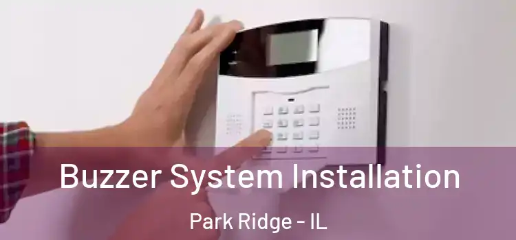 Buzzer System Installation Park Ridge - IL