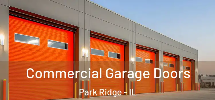  Commercial Garage Doors Park Ridge - IL