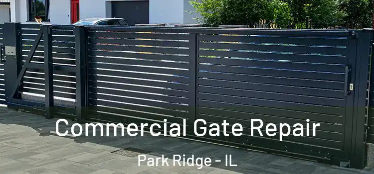 Commercial Gate Repair Park Ridge - IL