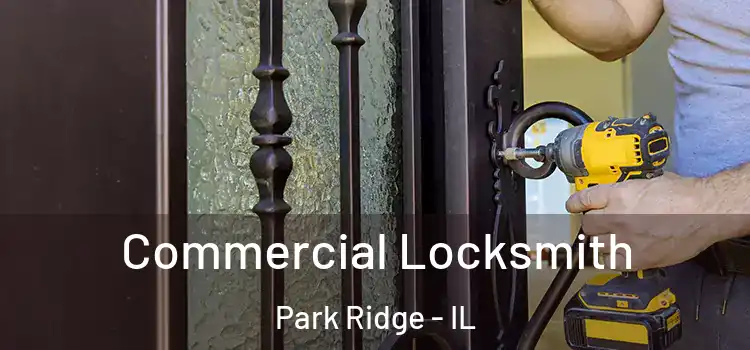 Commercial Locksmith Park Ridge - IL