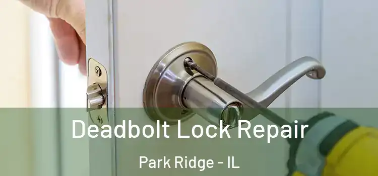Deadbolt Lock Repair Park Ridge - IL