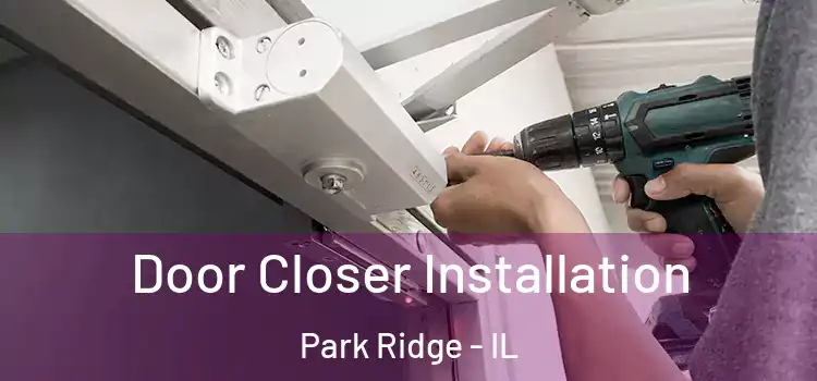 Door Closer Installation Park Ridge - IL