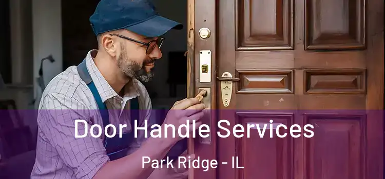 Door Handle Services Park Ridge - IL