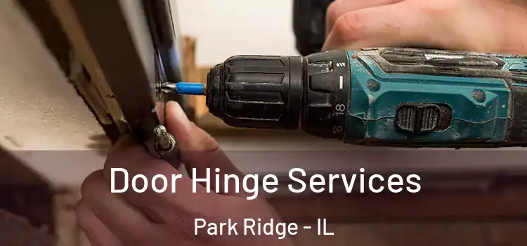 Door Hinge Services Park Ridge - IL