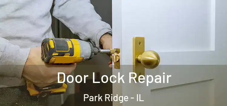 Door Lock Repair Park Ridge - IL
