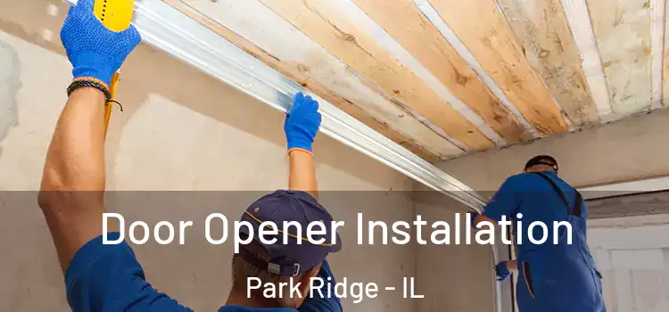 Door Opener Installation Park Ridge - IL
