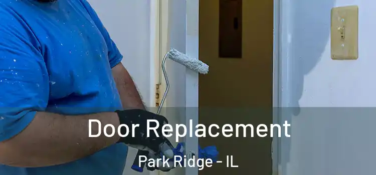 Door Replacement Park Ridge - IL