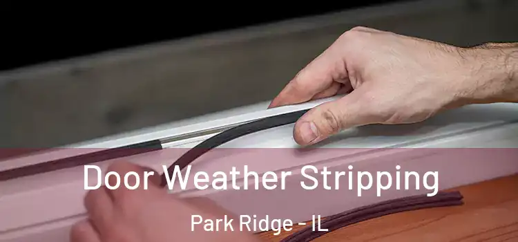 Door Weather Stripping Park Ridge - IL
