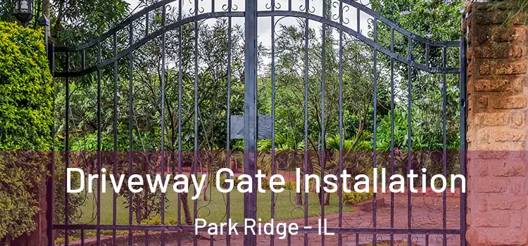 Driveway Gate Installation Park Ridge - IL