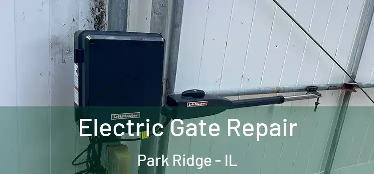 Electric Gate Repair Park Ridge - IL