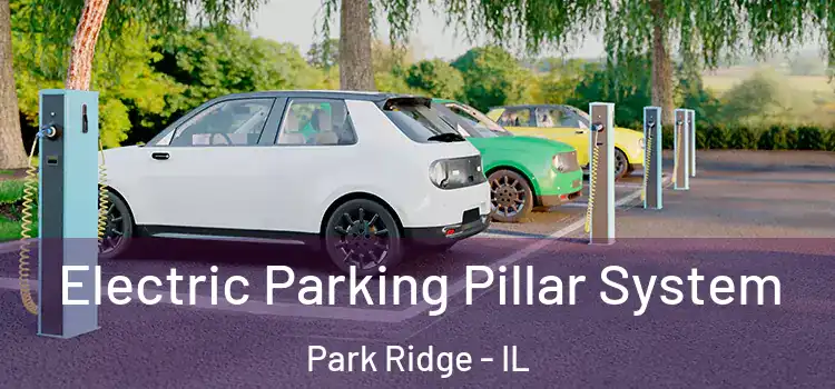 Electric Parking Pillar System Park Ridge - IL