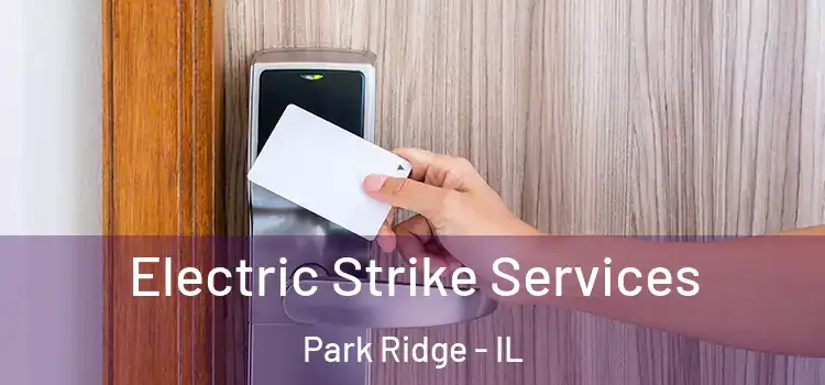Electric Strike Services Park Ridge - IL