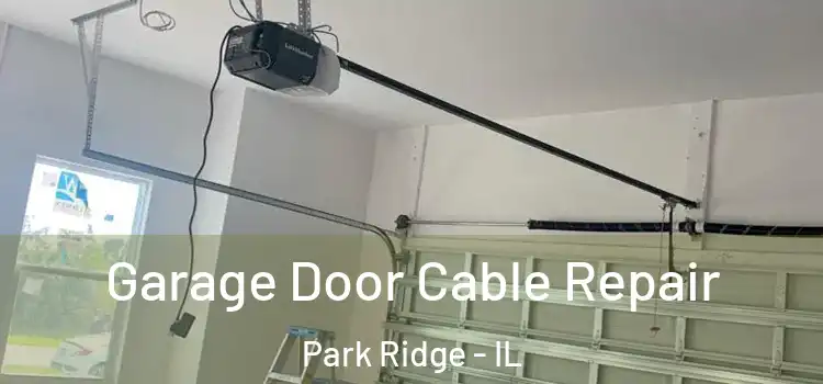 Garage Door Cable Repair Park Ridge - IL