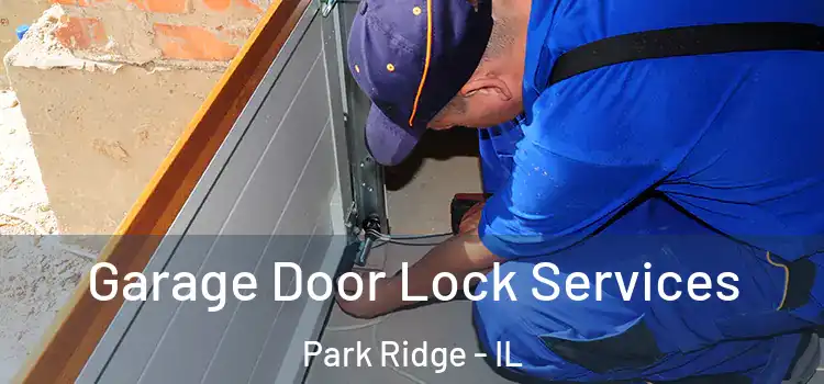 Garage Door Lock Services Park Ridge - IL