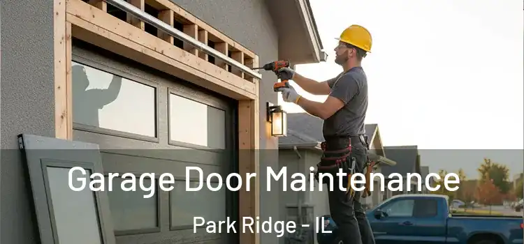 Garage Door Maintenance Park Ridge - IL