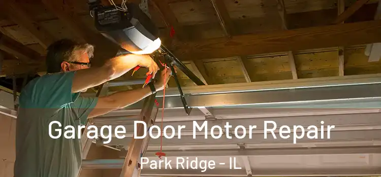  Garage Door Motor Repair Park Ridge - IL