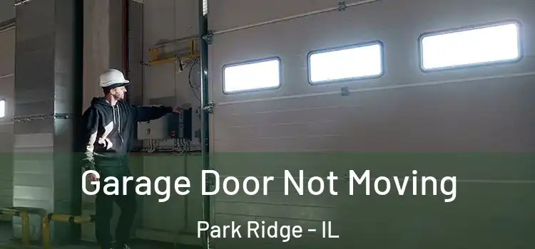  Garage Door Not Moving Park Ridge - IL