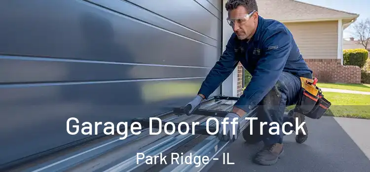  Garage Door Off Track Park Ridge - IL