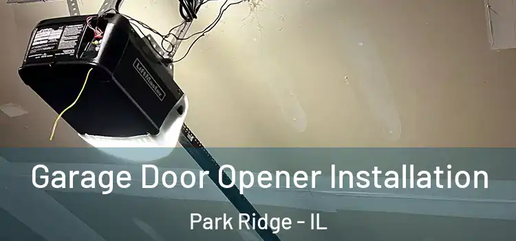  Garage Door Opener Installation Park Ridge - IL