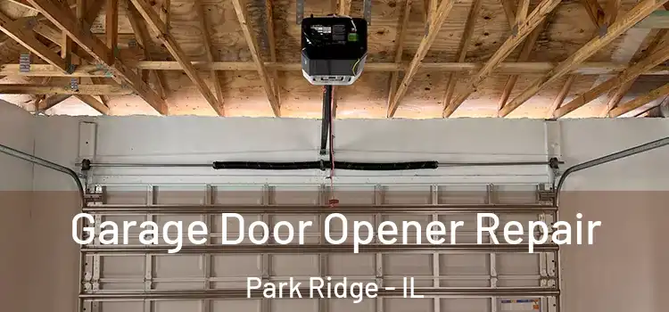  Garage Door Opener Repair Park Ridge - IL