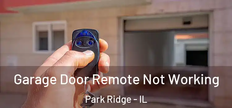  Garage Door Remote Not Working Park Ridge - IL