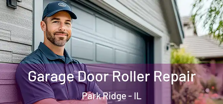  Garage Door Roller Repair Park Ridge - IL