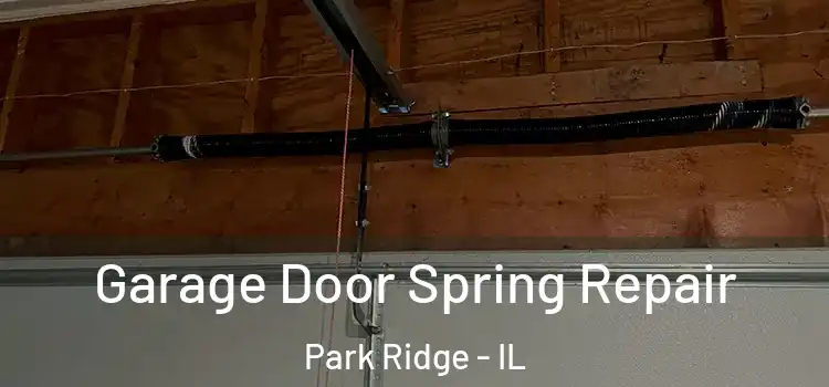  Garage Door Spring Repair Park Ridge - IL