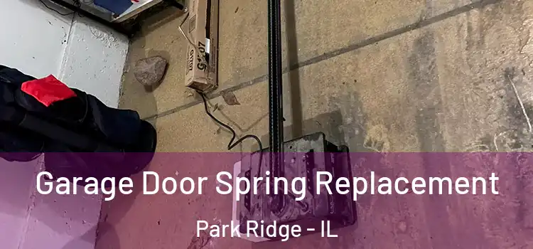  Garage Door Spring Replacement Park Ridge - IL