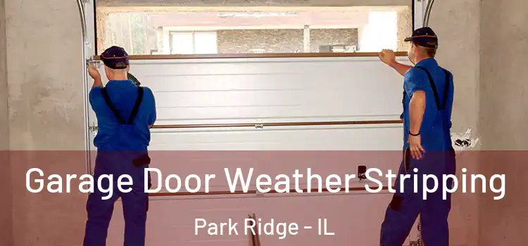  Garage Door Weather Stripping Park Ridge - IL