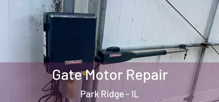 Gate Motor Repair Park Ridge - IL
