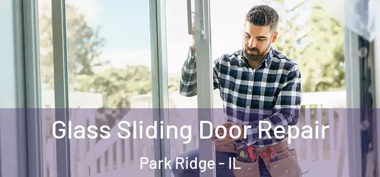 Glass Sliding Door Repair Park Ridge - IL