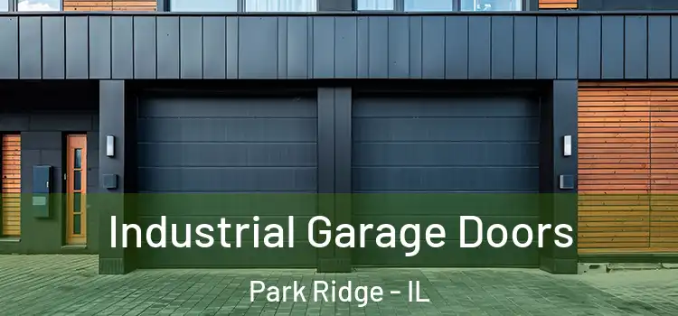  Industrial Garage Doors Park Ridge - IL