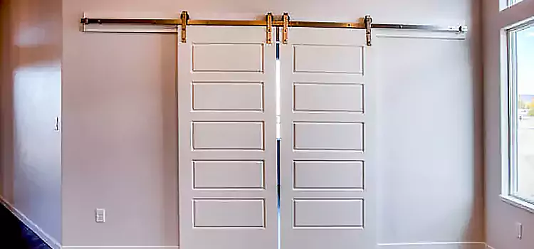 Glass Barn Door with Installation Hardware Kit Park Ridge