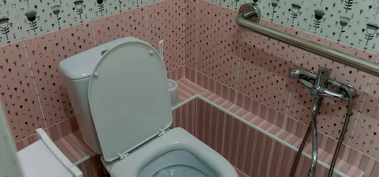 Meeting Diverse Needs With Accessible Restroom Solutions in Park Ridge, IL