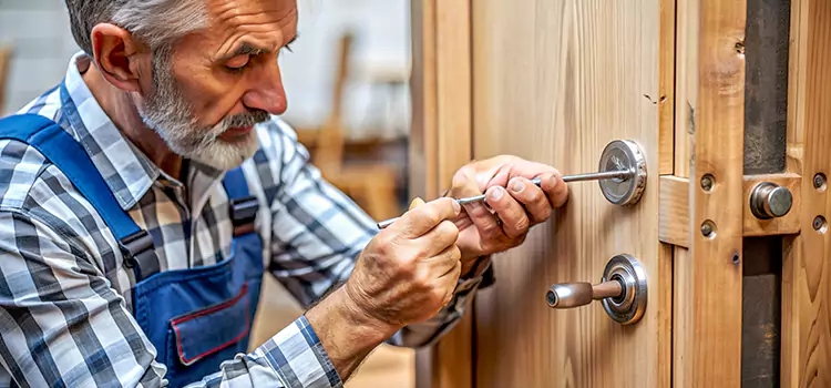 Mortise Replacement Lock Park Ridge