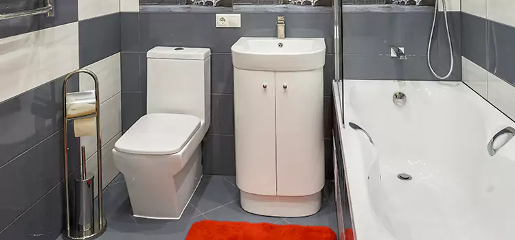 Hansgrohe Shaving Mirror Park Ridge