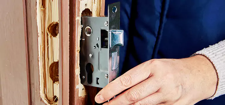 Garage Door Lock Replacement Park Ridge