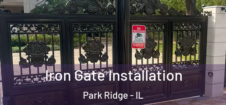 Iron Gate Installation Park Ridge - IL