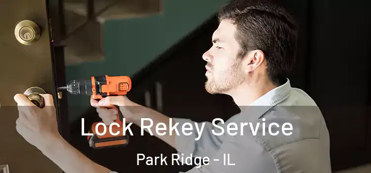Lock Rekey Service Park Ridge - IL