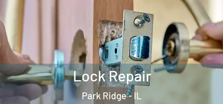 Lock Repair Park Ridge - IL