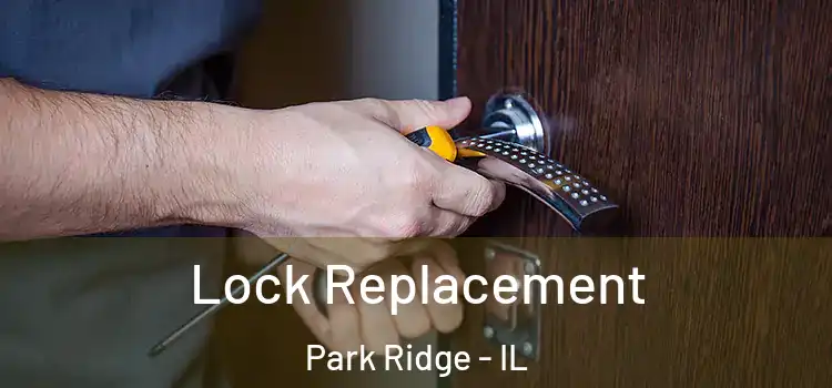 Lock Replacement Park Ridge - IL