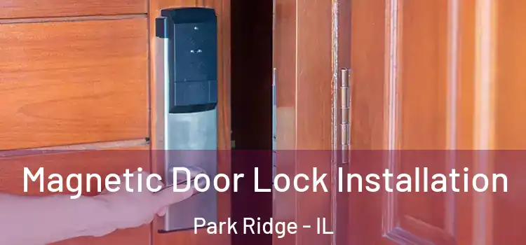  Magnetic Door Lock Installation Park Ridge - IL