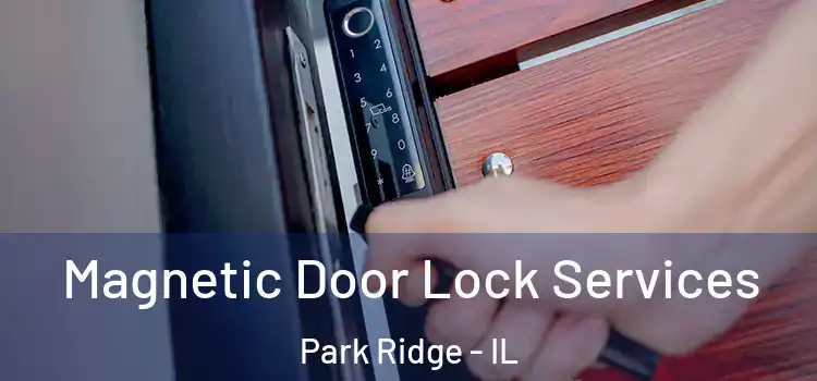 Magnetic Door Lock Services Park Ridge - IL