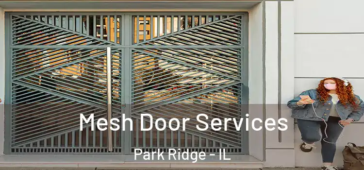 Mesh Door Services Park Ridge - IL